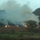 Imagem - Incêndio atinge vegetação às margens da BR 101, em Anchieta
