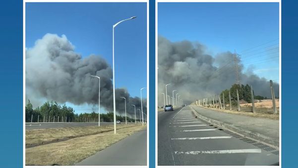 Motoristas flagraram a fumaça densa que toma trecho da Rodovia Leste-Oeste neste domingo (21); outros focos de incêndio foram registrados na Grande Vitória