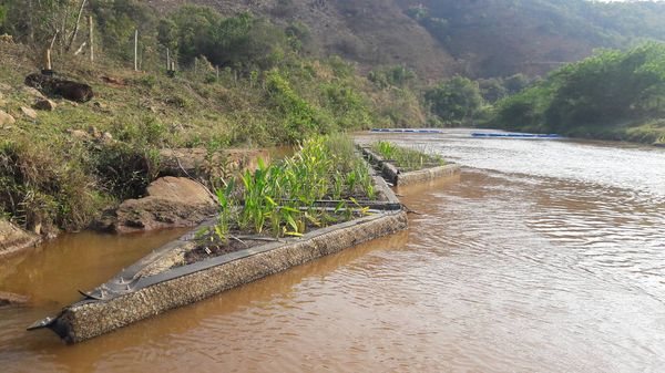 Sistema criado por estudante tem feito a limpeza de rios impactados pela lama da tragédia de Mariana