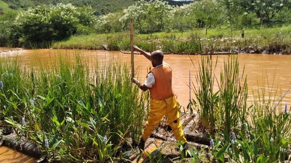 Sistema criado por estudante tem feito a limpeza de rios impactados pela lama da tragédia de Mariana