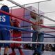 Imagem - Copa Espírito-Santense de Boxe acontece no próximo sábado em Vitória