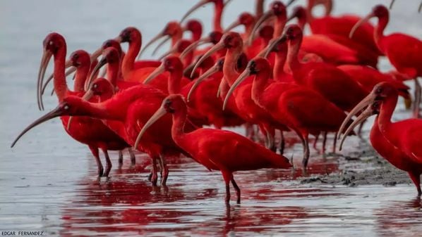 Site nacional indicou locais "para viajar em dezembro no Brasil, mas sem estourar o orçamento"