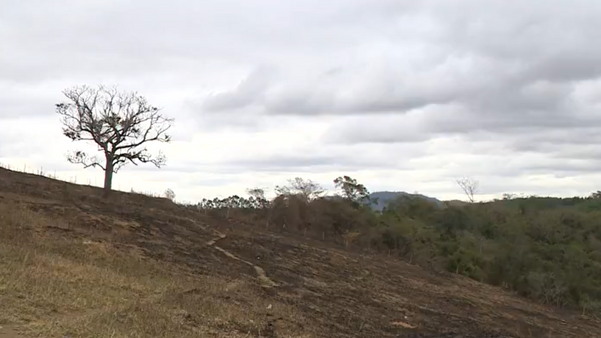 ES registra aumento de 10% de incêndios em vegetação em relação ao ano passado