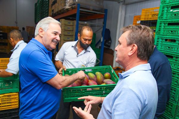 Guerino visita a empresa Extrafruit, em Viana por Divulgação