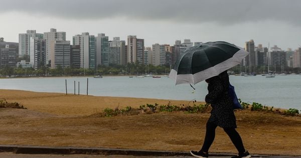 De acordo com o Instituto Nacional de Meteorologia, pode chover até 50 mm/dia entre este sábado (30) até a manhã de domingo (31)