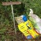 Imagem - Polícia investiga denúncia de morte de gatos em Atílio Vivácqua