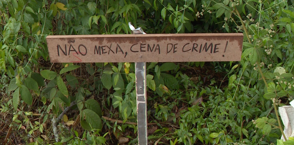 Polícia investiga denúncia de morte de gatos em Atílio Vivácqua