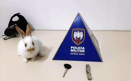 Coelho é apreendido em abordagem policial em Colatina