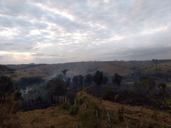 Incêndio destrói 150 hectares de propriedade de Boa Esperança e Nova Venécia