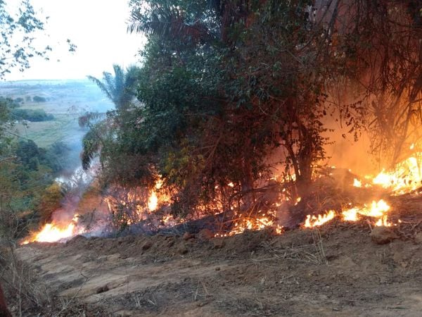 Incêndio destrói 150 hectares de propriedade de Boa Esperança e Nova Venécia