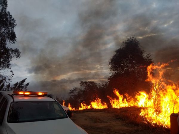Incêndio destrói 150 hectares de propriedade de Boa Esperança e Nova Venécia