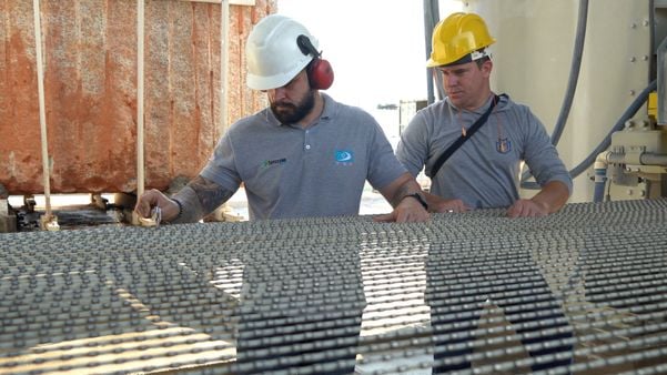 Branded Content - não usar