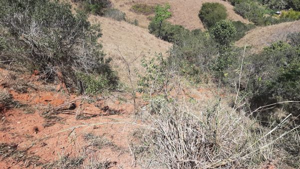 Carreta tomba e motorista morre preso às ferragens em Alegre por Divulgação/ PM 