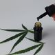 Imagem - STJ autoriza importação e cultivo de sementes de Cannabis para fins medicinais