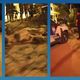 Imagem - Homem é morto a golpes de foice pelo ex-companheiro de mulher em Cachoeiro
