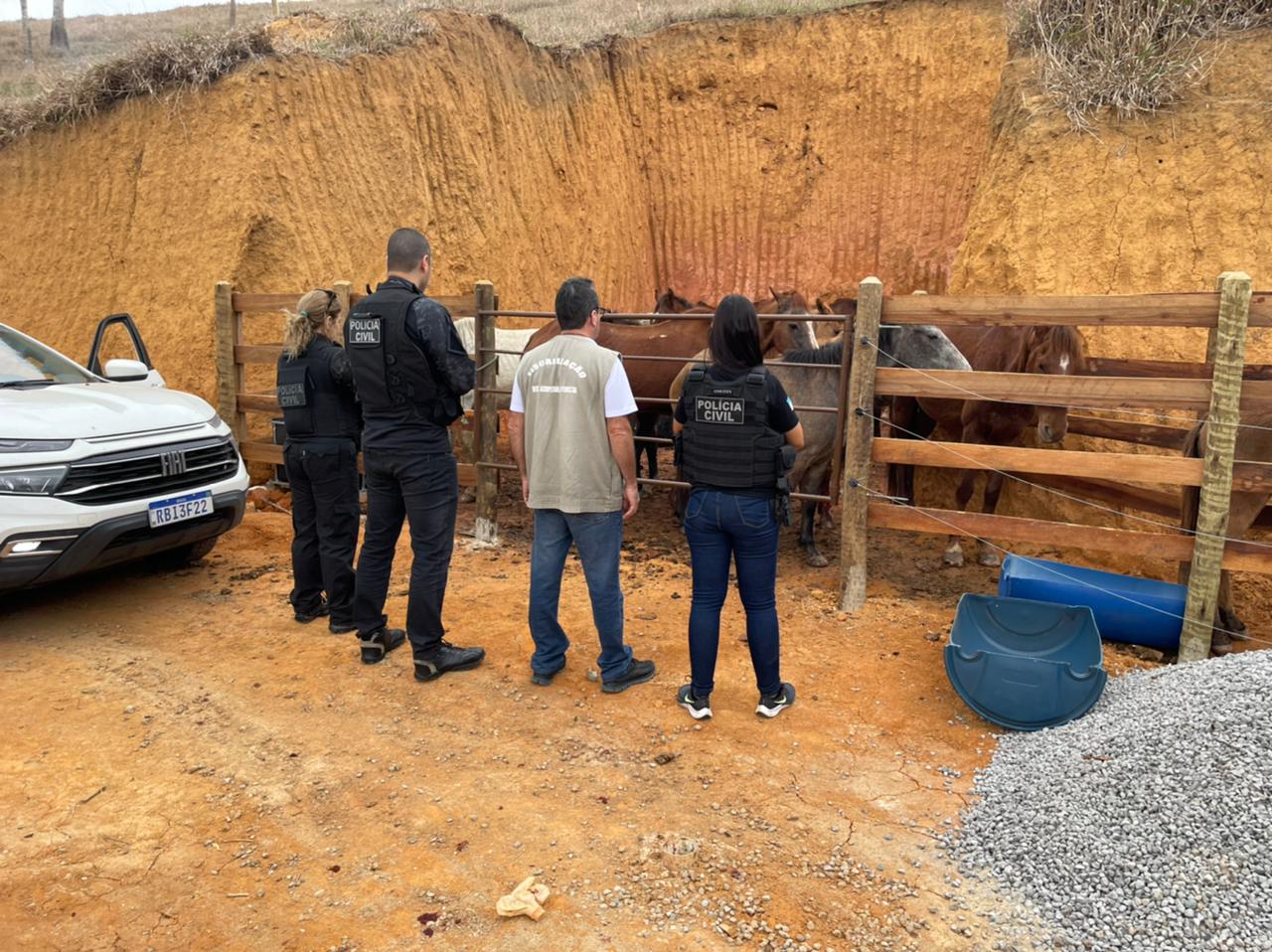 A Gazeta  Polícia fecha abatedouro ilegal que vendia até carne de