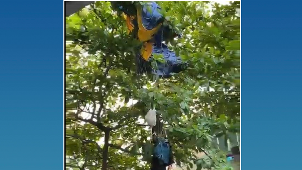 Paraquedista sofre queda no Rio