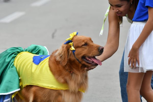 Teve até cachorro atravessando a Terceira Ponte para participar de manifestação bolsonarista por Fernando Madeira