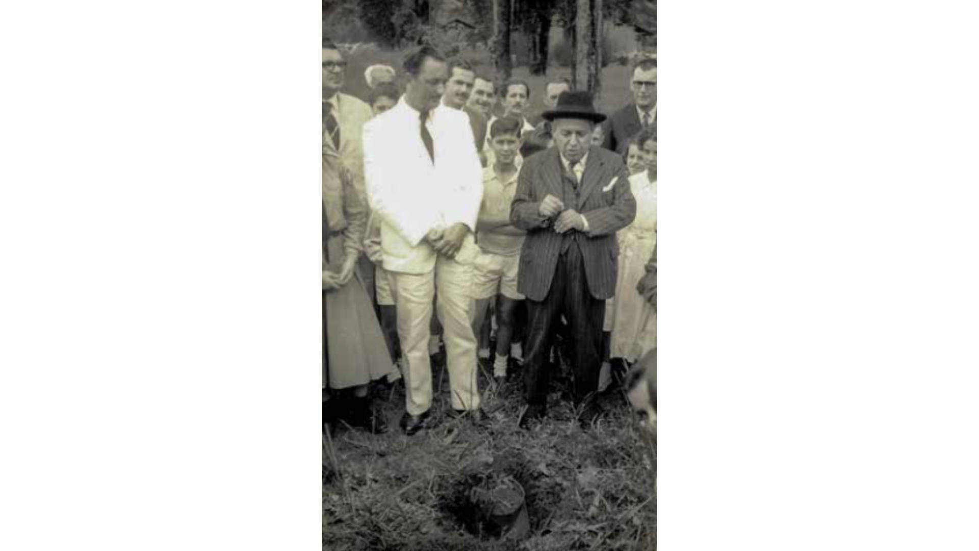 Assis
Chateaubriand, então
embaixador
do Brasil na
Inglaterra,
durante o
plantio de uma
muda de pau-brasil, no parque
do Museu Mello Leitão, em
14 de maio de
1956. Crédito:  AAR, s/c. | Reprodução livro "Augusto Ruschi : notas biográficas"
