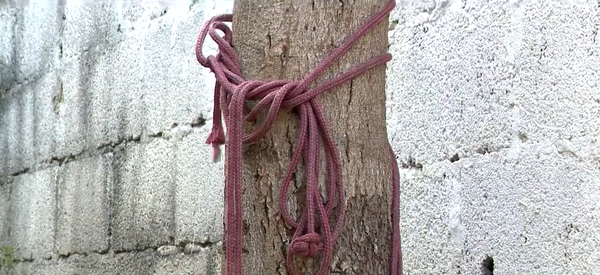 Filho é amarrado em árvore após agredir pais a pauladas na Serra