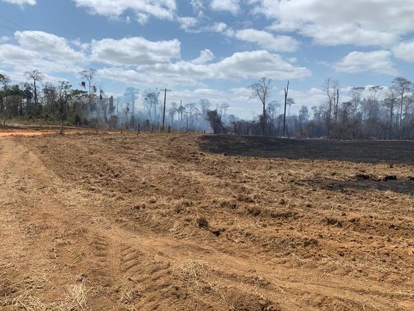 Área de pasto de propriedade rural ficou queimada