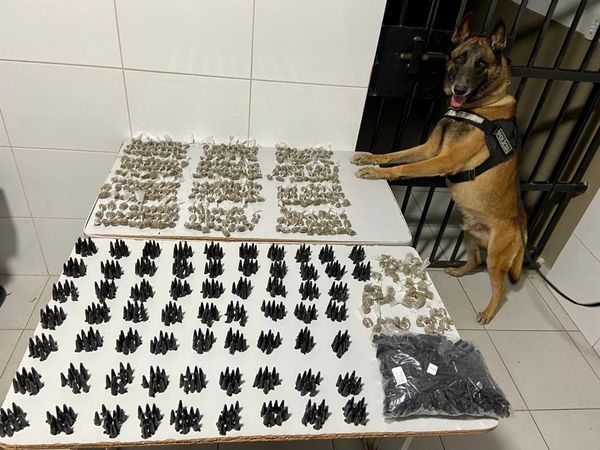 K-9 também ajudou na apreensão de drogas em Linhares