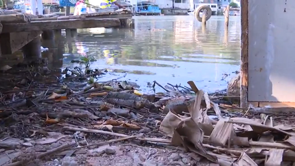 Moradores reclamam do descarte irregular de restos de peixes no cais de Piúma