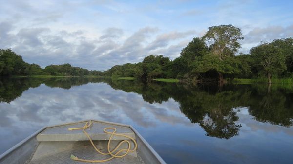 Rio Guaporé, no Amazonas