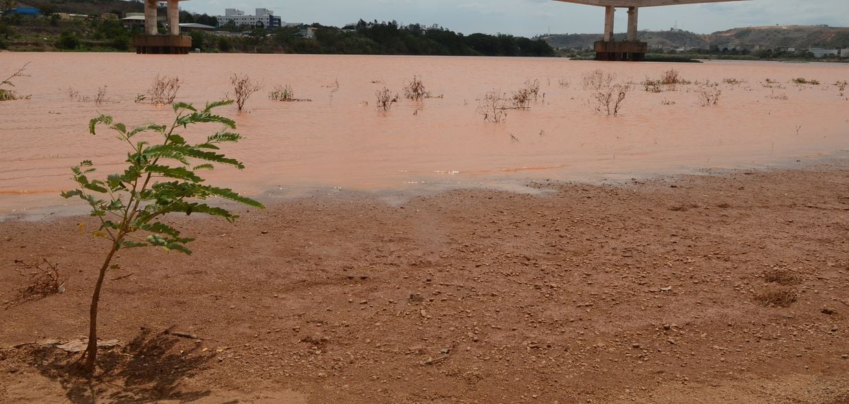 Ouça a reportagem especial do jornalista Vinícius Zagoto