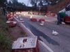 Caminhão de galinhas tomba na serra de Castelo (Leitor| A Gazeta )