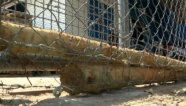 Cerca amanheceu reforçada nesta terça-feira (13)