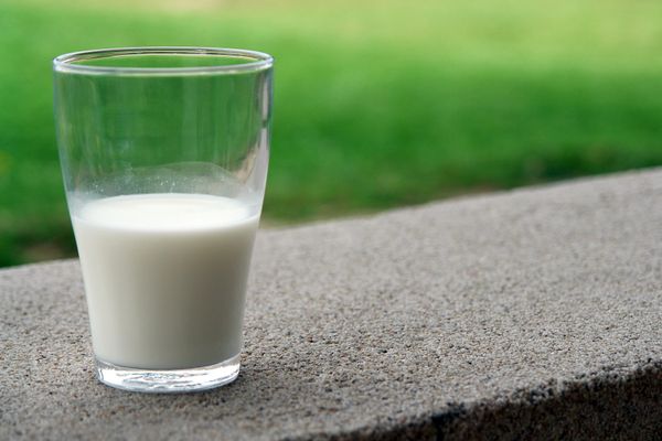 A intolerância à lactose é um distúrbio digestivo que se caracteriza pela dificuldade que o organismo tem em digerir o açúcar existente no leite 