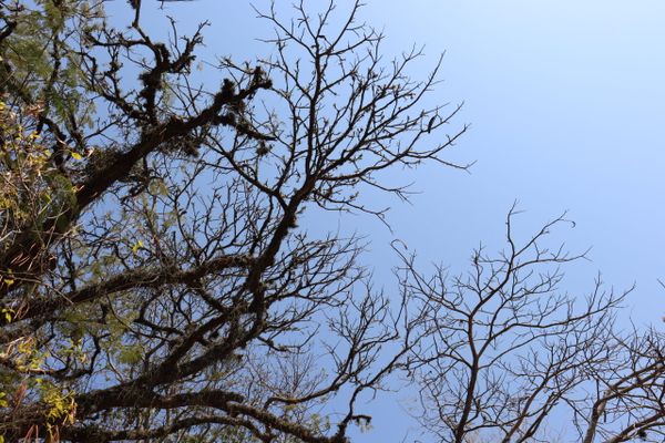 Seca muda visual do Convento da Penha, em Vila Velha por Reprodução | Convento da Penha