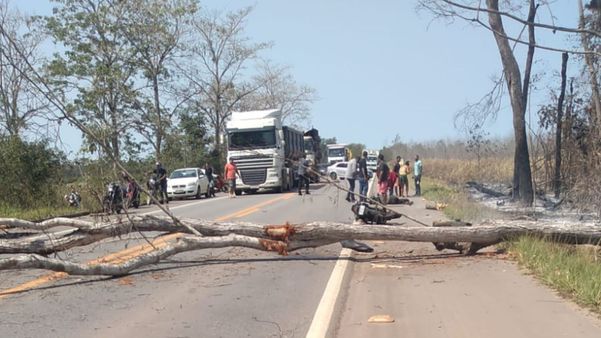 Árvore cai em rodovia e causa acidente entre moto e carro em Aracruz por Leitor | A Gazeta