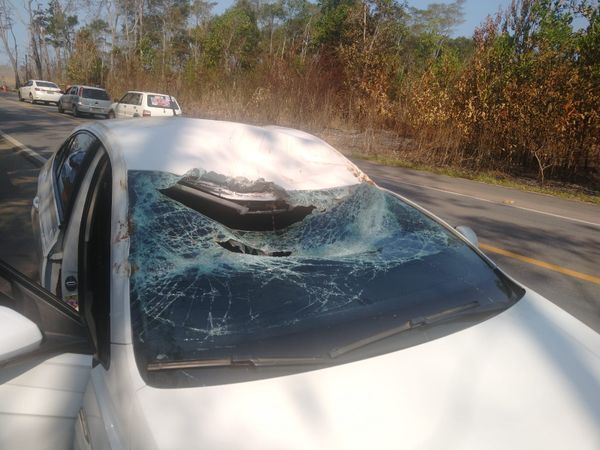 Árvore cai em rodovia e causa acidente entre moto e carro em Aracruz por Leitor | A Gazeta