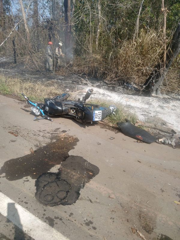 Árvore cai em rodovia e causa acidente entre moto e carro em Aracruz por Leitor | A Gazeta