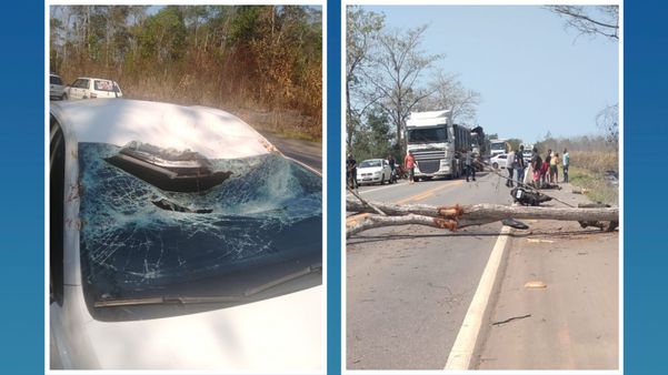 Árvore cai em rodovia e causa acidente entre moto e carro em Aracruz