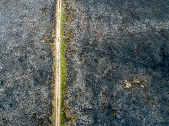 Área queimada após mais de 24 horas de incêndio no Paulo César Vinha. por Vitor Jubini | A Gazeta