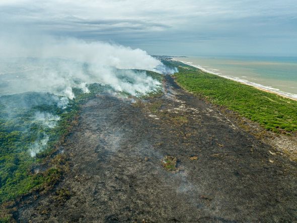 Área queimada após mais de 24 horas de incêndio no Paulo César Vinha. por Vitor Jubini | A Gazeta