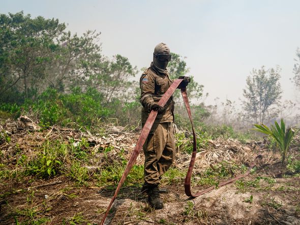 Incêndio no Parque Estadual Paulo Cesar Vinha por Vitor Jubini