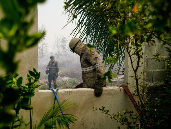 Incêndio no Parque Estadual Paulo Cesar Vinha por Vitor Jubini