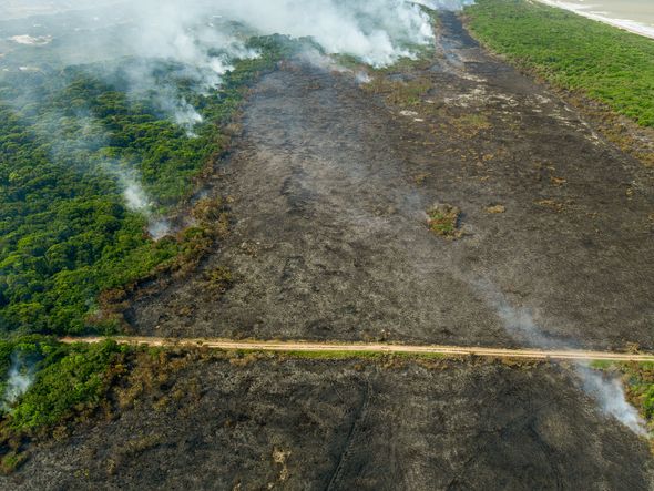 Incêndio no Parque Estadual Paulo Cesar Vinha por Vitor Jubini