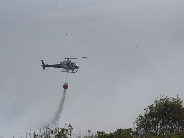 Incêndio no Parque Estadual Paulo Cesar Vinha por Vitor Jubini