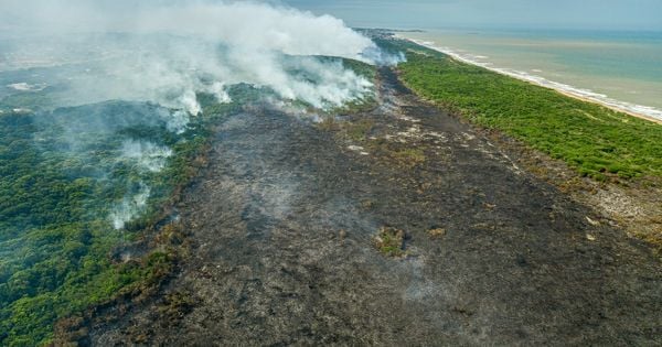 É necessário não somente zerar as emissões de gás carbônico, mas também removê-lo da atmosfera. Para isso, é preciso criar grandes e robustos projetos e ações que auxiliem uma mudança rigorosa de comportamento da sociedade