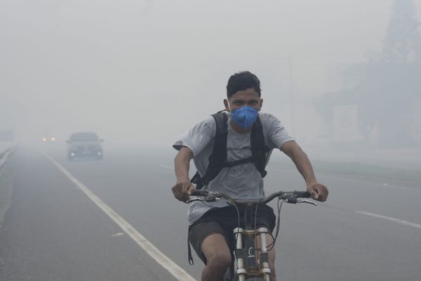 Incêndio atinge Parque Paulo César Vinha e motoristas enfrentam fumaça por Vitor Jubini