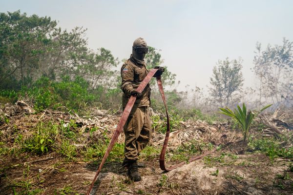 Trabalho para combater incêndio durou mais de 30 dias no parque por Vitor Jubini