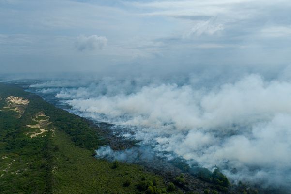 Fumaça branca causada pelo fogo podia ser vista de longe por Vitor Jubini