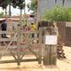 Imagem - Operação do Ibama retira famílias de região de Mata Atlântica no ES