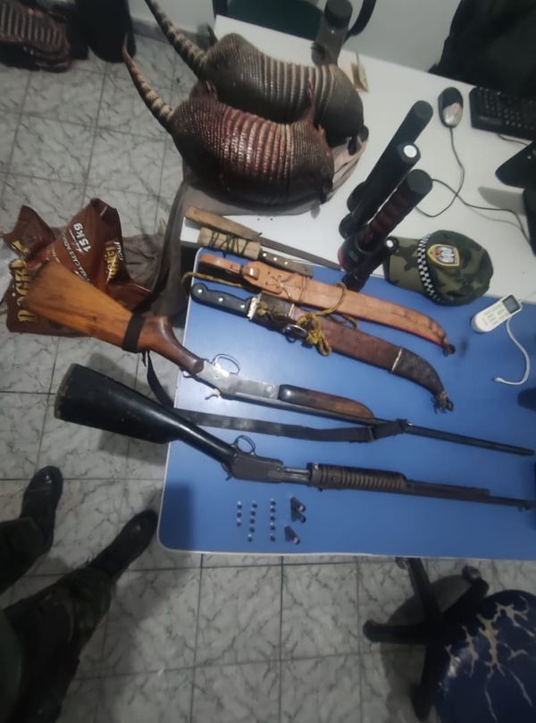 Armas, materiais de caça e tatus abatidos foram apreendidos pela polícia por Divulgação/Polícia Militar Ambiental