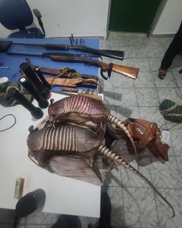 Armas, materiais de caça e tatus abatidos foram apreendidos pela polícia por Divulgação/Polícia Militar Ambiental